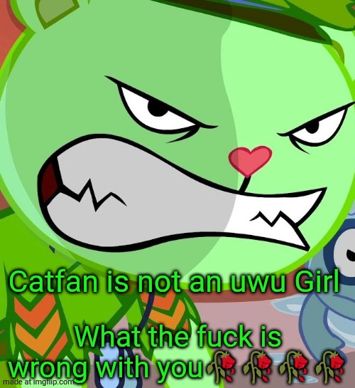 Angry Flippy (HTF) | Catfan is not an uwu Girl What the fuck is wrong with you???? | image tagged in angry flippy htf | made w/ Imgflip meme maker