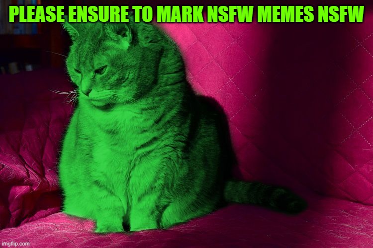 Cantankerous RayCat | please ensure to mark nsfw memes nsfw | image tagged in cantankerous raycat | made w/ Imgflip meme maker