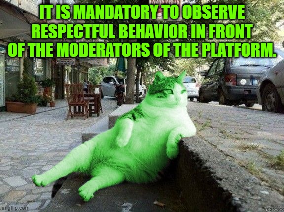 RayCat relaxing | It is mandatory to observe respectful behavior in front of the moderators of the platform. | image tagged in raycat relaxing | made w/ Imgflip meme maker