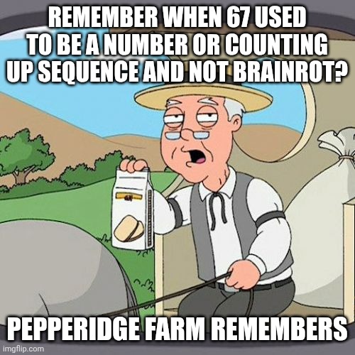 Pepperidge Farm Remembers Meme | Remember when 67 used to be a number or counting up sequence and not brainrot? Pepperidge farm remembers | image tagged in memes,pepperidge farm remembers | made w/ Imgflip meme maker