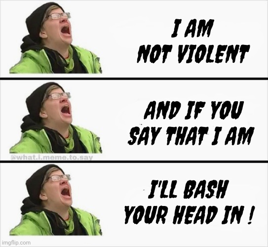 Whining Liberal | I am not violent and if you say that I am I'll bash your head in ! | image tagged in whining liberal | made w/ Imgflip meme maker