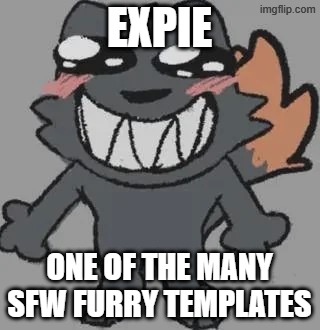 Expie Template | Expie; One of the many SFW furry templates | image tagged in expie,memes,furry,template,cat,cute | made w/ Imgflip meme maker