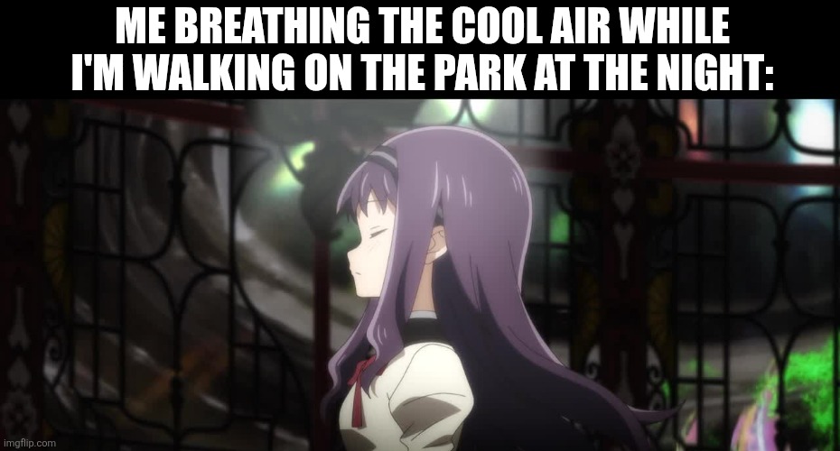 Me breathing the cool air while I'm walking on the park at the night: | image tagged in memes,night,chill,puella magi madoka magica | made w/ Imgflip meme maker