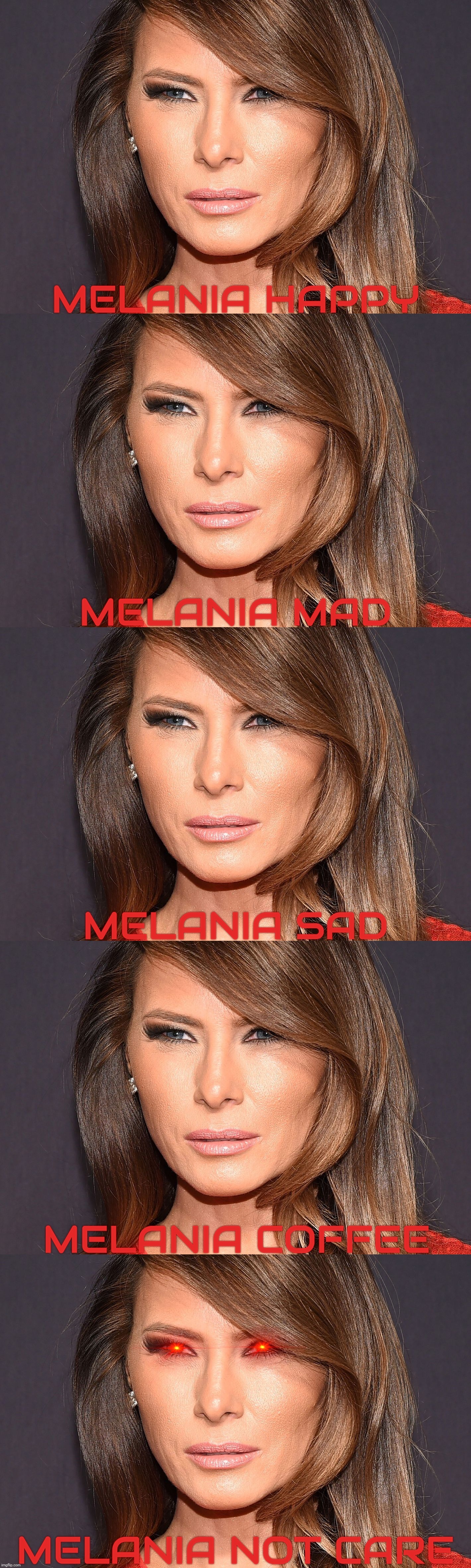The moods of Melania | image tagged in regurgitated,melania | made w/ Imgflip meme maker