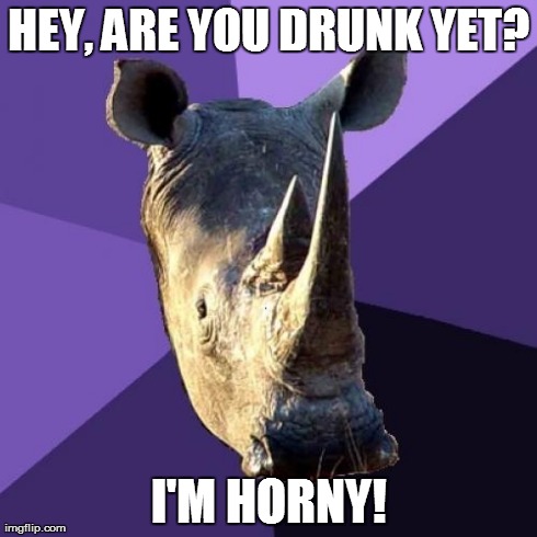 Sexually Oblivious Rhino Meme | HEY, ARE YOU DRUNK YET? I'M HORNY! | image tagged in memes,sexually oblivious rhino | made w/ Imgflip meme maker