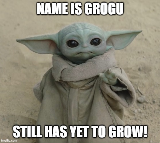Grogu Pun | Name is grogu; still has yet to grow! | image tagged in grogu | made w/ Imgflip meme maker