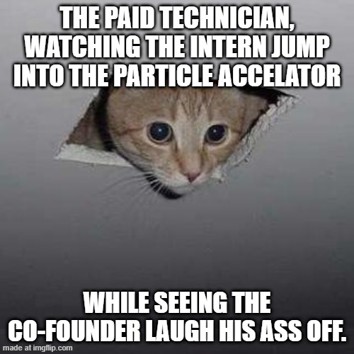 The death. | The paid technician, watching the intern jump into the particle accelator; While seeing the co-founder laugh his ass off. | image tagged in memes,ceiling cat | made w/ Imgflip meme maker