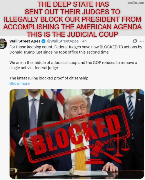 judicial coup | the deep state has sent out their judges to illegally block our president from accomplishing the american agenda
This is the judicial coup | image tagged in judges blocking trump png | made w/ Imgflip meme maker