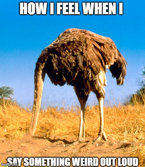 Denial Be Like | how i feel when i; say something weird out loud | image tagged in denial be like | made w/ Imgflip meme maker