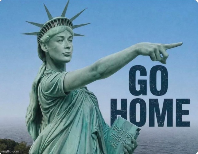Lady Liberty's had enough | image tagged in statue of liberty,pointing,new york city,usa,immigrants,go home | made w/ Imgflip meme maker