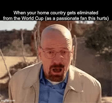 Japan Lost To Brazil Imgflip 