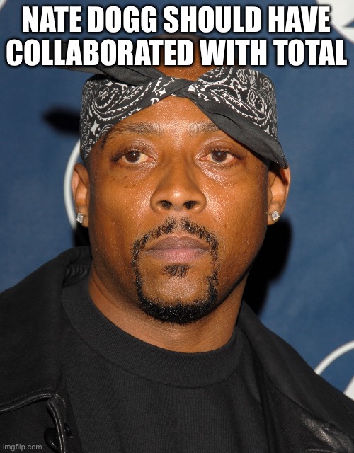 Nate Dogg Should Have Collaborated With Total | Nate Dogg should have collaborated with total | image tagged in img_6912 jpeg | made w/ Imgflip meme maker