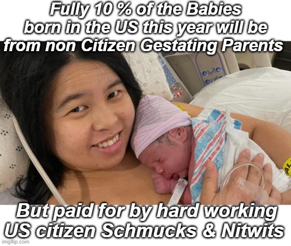 Yeah, birthright citizenship is a real sustainable concept | Fully 10 % of the Babies born in the US this year will be from non Citizen Gestating Parents; But paid for by hard working US citizen Schmucks & Nitwits | image tagged in 1 in ten babies born to illegals meme | made w/ Imgflip meme maker