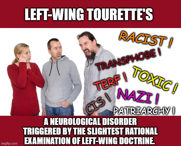 Left-wing Tourette's; Racist ! transphobe ! Toxic ! terf ! Nazi ! Cis ! patriarchy ! A neurological disorder triggered by the slightest rational examination of left-wing doctrine. | made w/ Imgflip meme maker