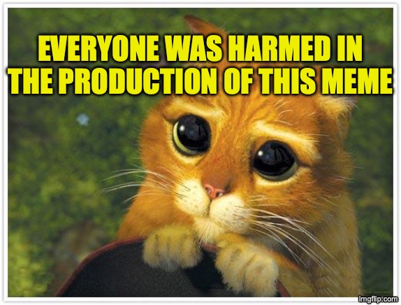 A Harmful Meme! | Everyone was harmed in the production of this meme | image tagged in memes,shrek cat | made w/ Imgflip meme maker