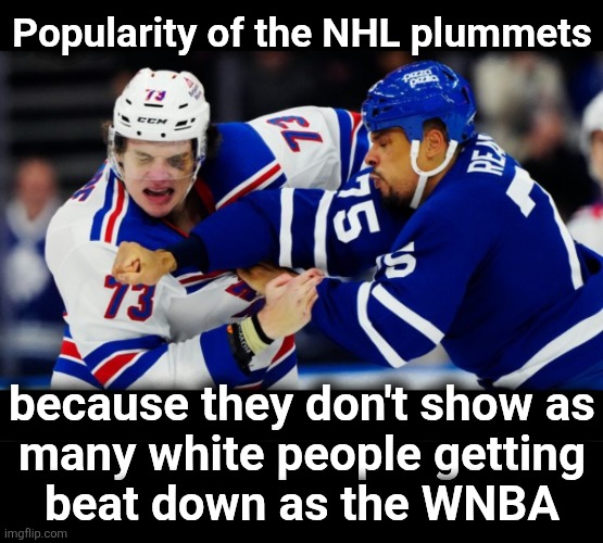 Driven by "changing behaviors" of Democrats, obviously | Popularity of the NHL plummets; because they don't show as
many white people getting
beat down as the WNBA | image tagged in memes,white people,racism,democrats,wnba,nhl | made w/ Imgflip meme maker
