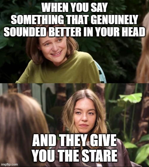 Sydney Sweeney Jeans | When you say something that genuinely sounded better in your head; and they give you the stare | image tagged in sydney sweeney jeans | made w/ Imgflip meme maker
