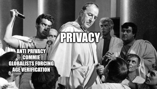 Privacy is a right for everyone! Privacy is against communist gobbledygook | privacy; anti privacy commie globalists forcing age verification | image tagged in julius caesar stabbing | made w/ Imgflip meme maker