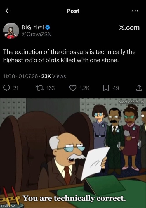 Mass. killing with a BIG stone | image tagged in img_6408 jpeg,you are technically correct,extinction,dinosaurs,dinosaurs meteor,meteor | made w/ Imgflip meme maker