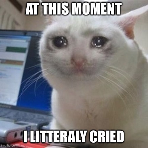 Crying cat | At this moment I litteraly cried | image tagged in crying cat | made w/ Imgflip meme maker