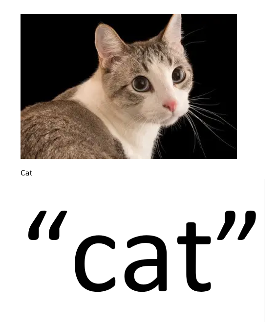 High Quality "cat" Blank Meme Template