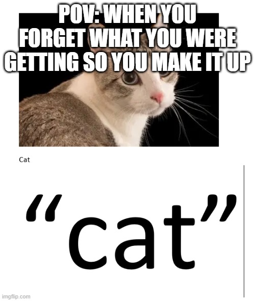 I had this too | pov: when you forget what you were getting so you make it up | image tagged in cat | made w/ Imgflip meme maker