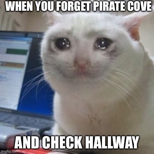Foxy running mock 10 at you | When you forget pirate cove; And check hallway | image tagged in crying cat | made w/ Imgflip meme maker