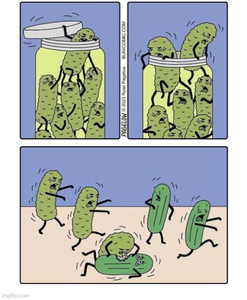 Pickles are really “zombie cucumbers”! | image tagged in comics,buni comics,pickles,cucumbers,zombies,run for your life | made w/ Imgflip meme maker