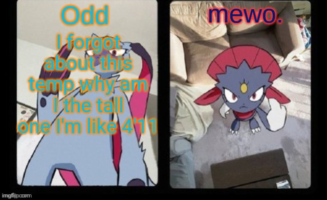 shared template thingy | I forgot about this temp why am I the tall one I'm like 4'11 | image tagged in shared template thingy | made w/ Imgflip meme maker
