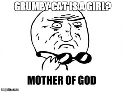 Mother Of God Meme | GRUMPY CAT IS A GIRL? | image tagged in memes,mother of god | made w/ Imgflip meme maker
