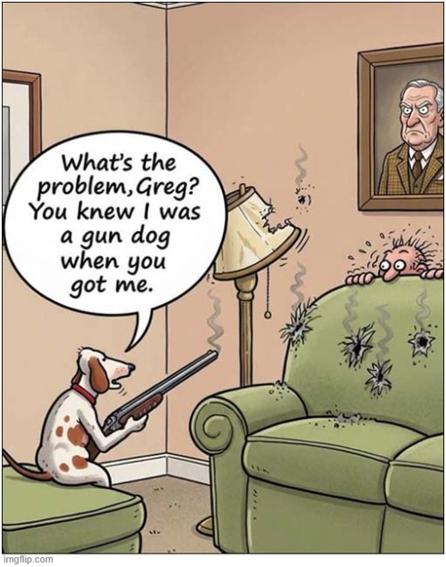Gun Dog ! | image tagged in dogs,guns | made w/ Imgflip meme maker