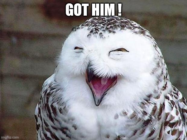 owl happy | Got him ! | image tagged in owl happy | made w/ Imgflip meme maker