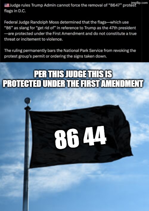 according to this judge this is protected under the first amendment | per this judge this is protected under the first amendment; 86 44 | made w/ Imgflip meme maker