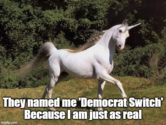 They named me 'Democrat Switch'
Because I am just as real | made w/ Imgflip meme maker