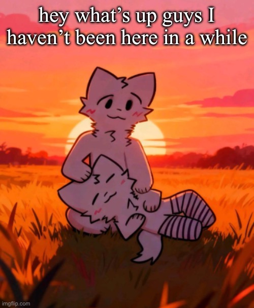 That0neguy announcement temp | hey what’s up guys I haven’t been here in a while | image tagged in that0neguy announcement temp | made w/ Imgflip meme maker