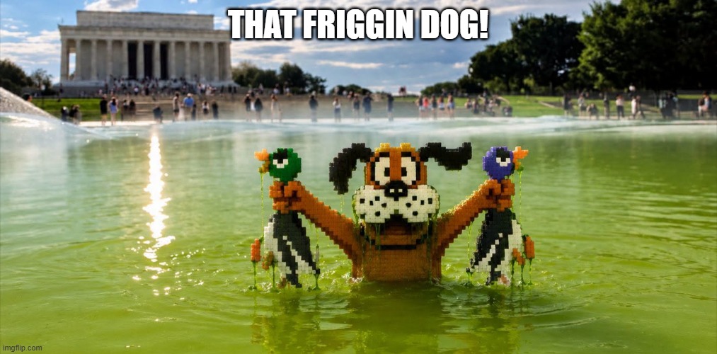 Duck Hunt | That friggin dog! | image tagged in video games,nintendo | made w/ Imgflip meme maker