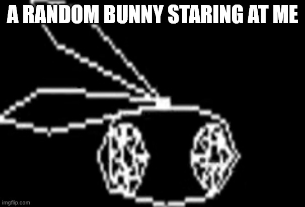 Vib ribbon | A random bunny staring at me | image tagged in vib ribbon is a bunny | made w/ Imgflip meme maker