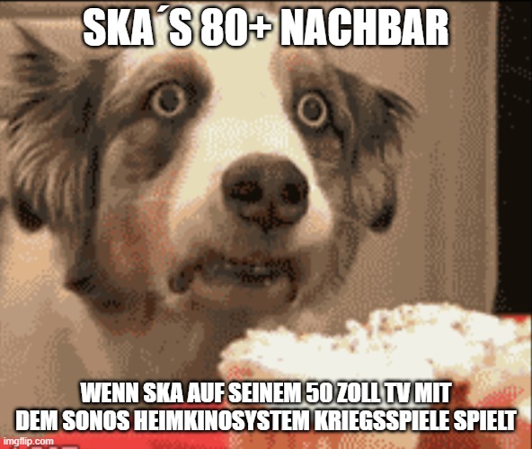 avv079.jpg