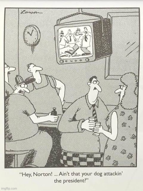 Talk about an awkward situation | image tagged in the far side,comics,bar,television,dog bite,awkward | made w/ Imgflip meme maker