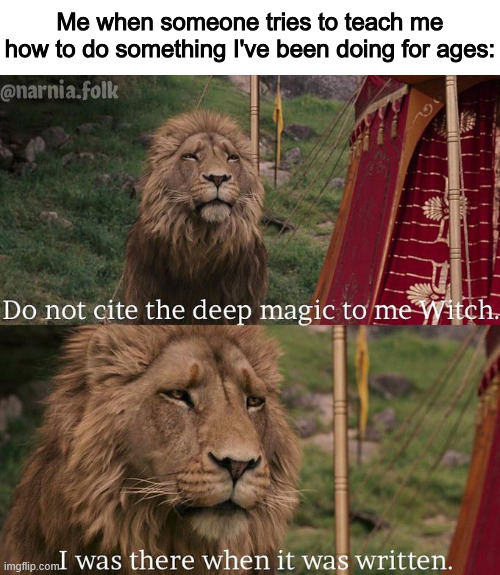 "Thank you for telling me how to do something I already knew" | Me when someone tries to teach me how to do something I've been doing for ages: | image tagged in do not cite the deep magic to me witch,memes,so true memes,nostalgia,relatable | made w/ Imgflip meme maker