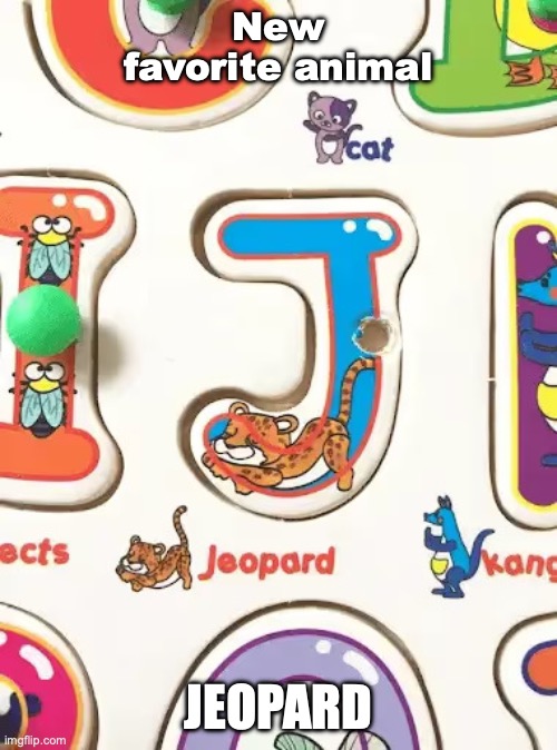 Just put Jaguar gang | New favorite animal; Jeopard | image tagged in 69b15b68fb5a0ea0e6ef79b9_65bbd4f41e165a0a61158fec_jl3jcxyorbg7hd | made w/ Imgflip meme maker
