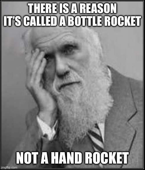 There is a reason it’s called a bottle rocket Not a hand rocket | image tagged in darwin facepalm | made w/ Imgflip meme maker