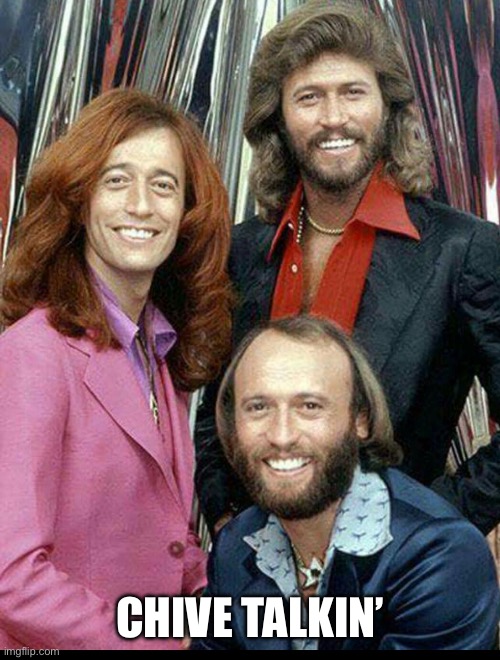 Bee Gees | Chive talkin’ | image tagged in bee gees | made w/ Imgflip meme maker