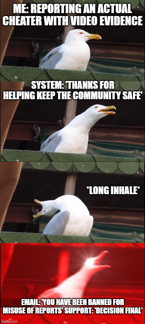 Inhaling Seagull gets banned for reporting a cheater | ME: REPORTING AN ACTUAL CHEATER WITH VIDEO EVIDENCE; SYSTEM: 'THANKS FOR HELPING KEEP THE COMMUNITY SAFE'; *LONG INHALE*; EMAIL: 'YOU HAVE BEEN BANNED FOR MISUSE OF REPORTS' SUPPORT: 'DECISION FINAL' | image tagged in memes,inhaling seagull | made w/ Imgflip meme maker