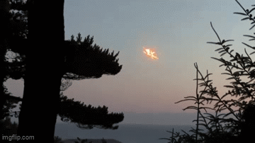 avwbw3.gif