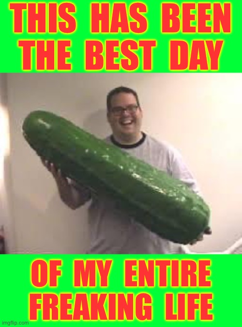 Needs A Little Bit Of An Explanation . . . OF COURSE !!!  : ) | This  has  been
The  best  day; Of  my  entire
Freaking  life | image tagged in pickles are good | made w/ Imgflip meme maker