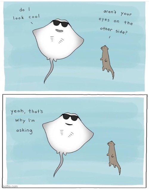 He still looks cool though | image tagged in comics,ray,sunglasses,cool | made w/ Imgflip meme maker