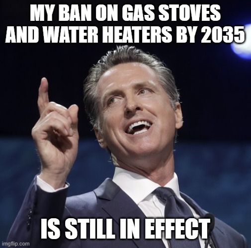 my ban on gas stoves and water heaters by 2035 is still in effect | image tagged in gavin newsom | made w/ Imgflip meme maker
