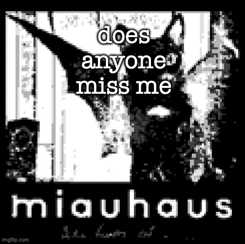 I'm barely online atp | does anyone miss me | image tagged in miauhaus | made w/ Imgflip meme maker