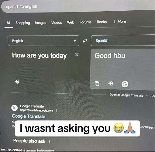 image tagged in funny,google translate,who asked | made w/ Imgflip meme maker